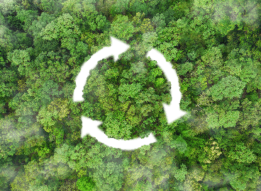 Circular